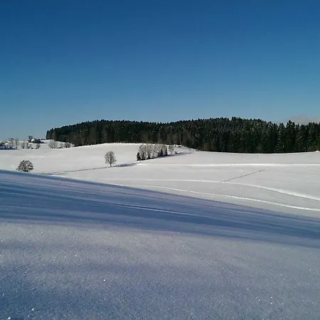 Holiday home Plattenstein