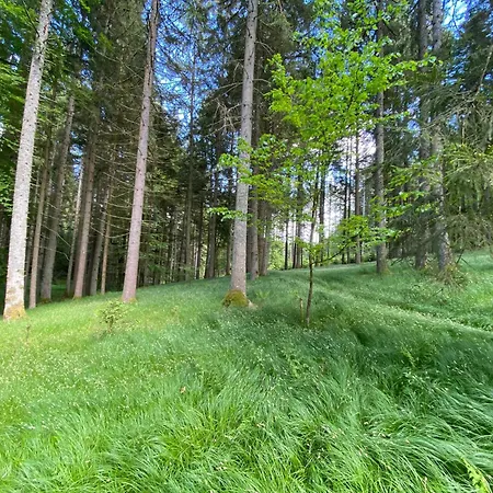 Plattenstein *